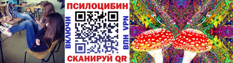 Псилоцибиновые грибы GOLDEN TEACHER  Купить  Буйнакск 