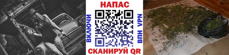 Канабис SATIVA & INDICA  Купить закладки  Буйнакск 